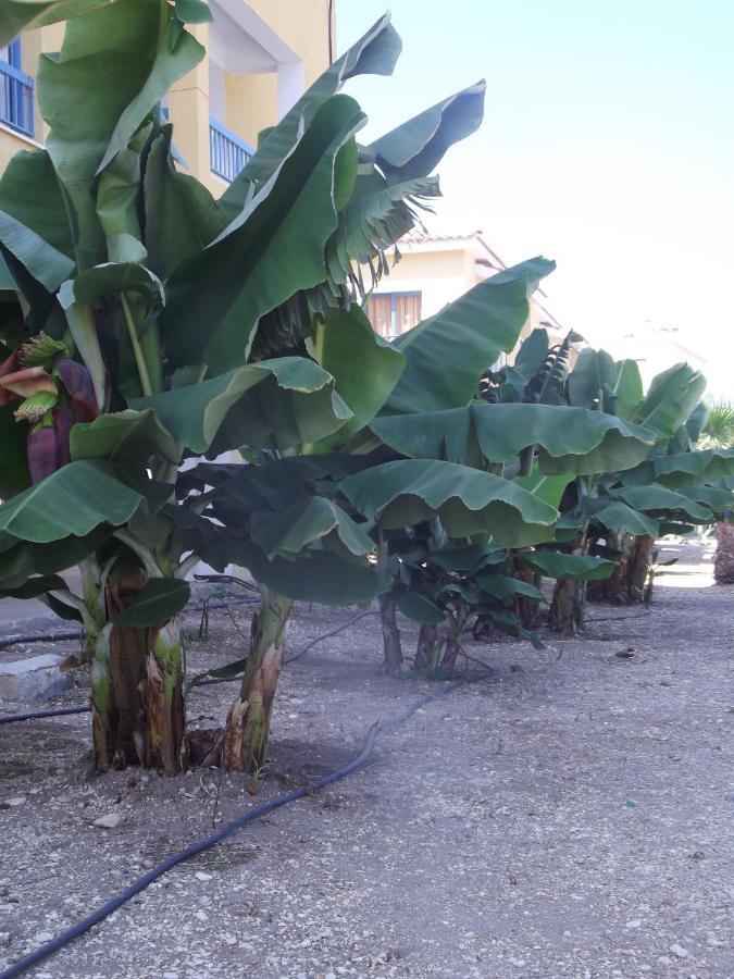 Kefalonitis Hotel Apartments Paphos Luaran gambar